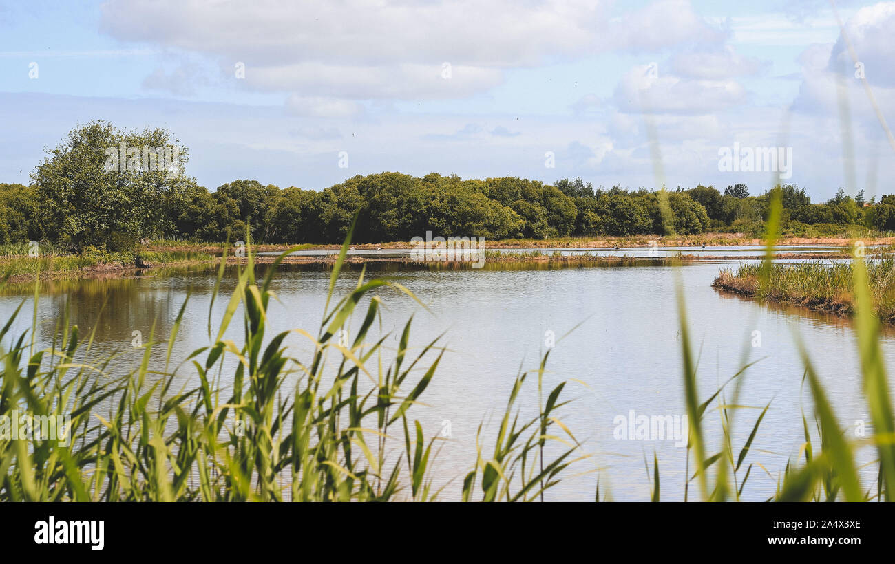 Adventure by the River Stock Photo - Alamy