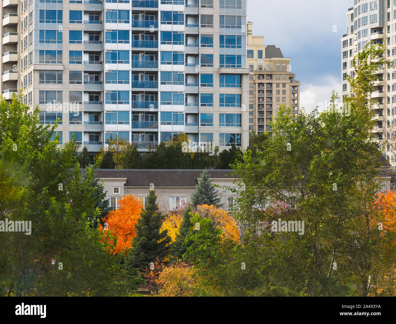 Building windows reflecting blue sky, located behind the tree line in autumn. Stock Photo