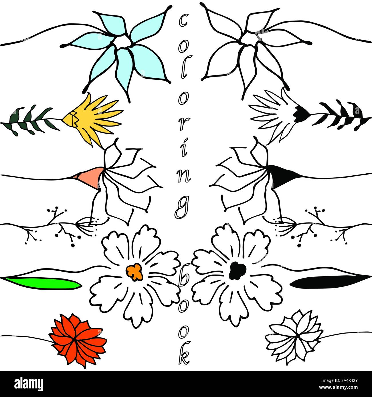 Set of vector floral coloring book with blooming garden flowers ...