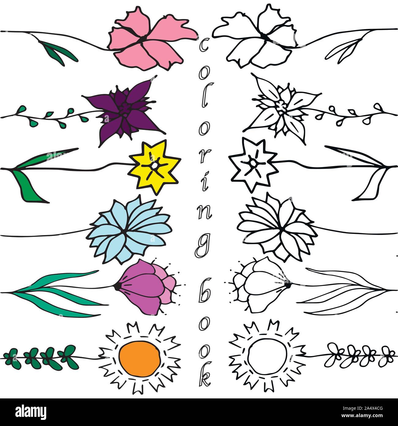 Set of vector floral coloring book with blooming garden flowers ...