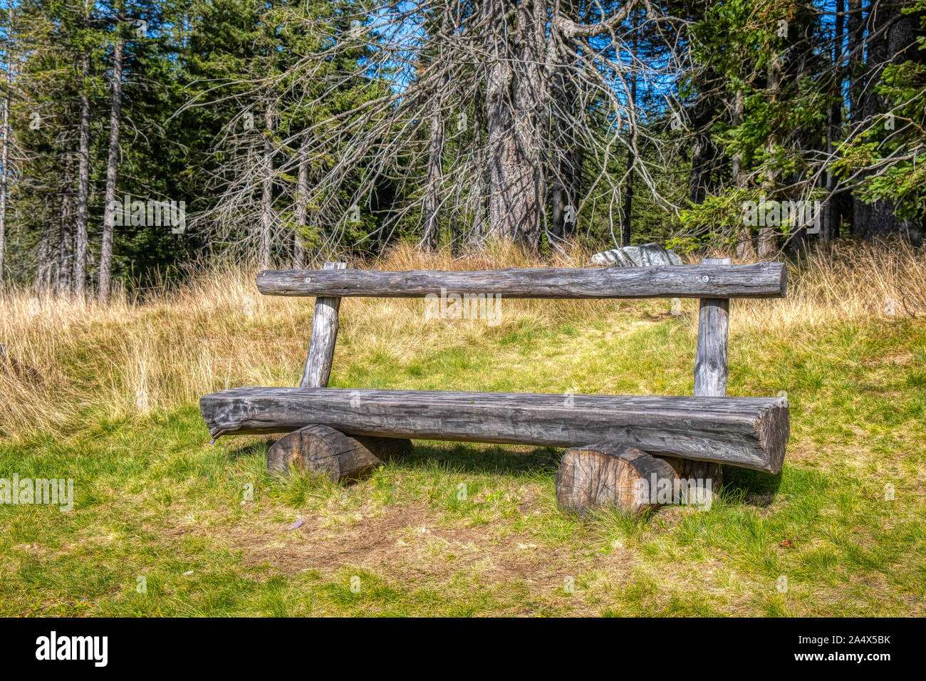 Wooden bench in the woods, sunnz meadow and trees in background, solitude, tranquilitz and peace in nature Stock Photo