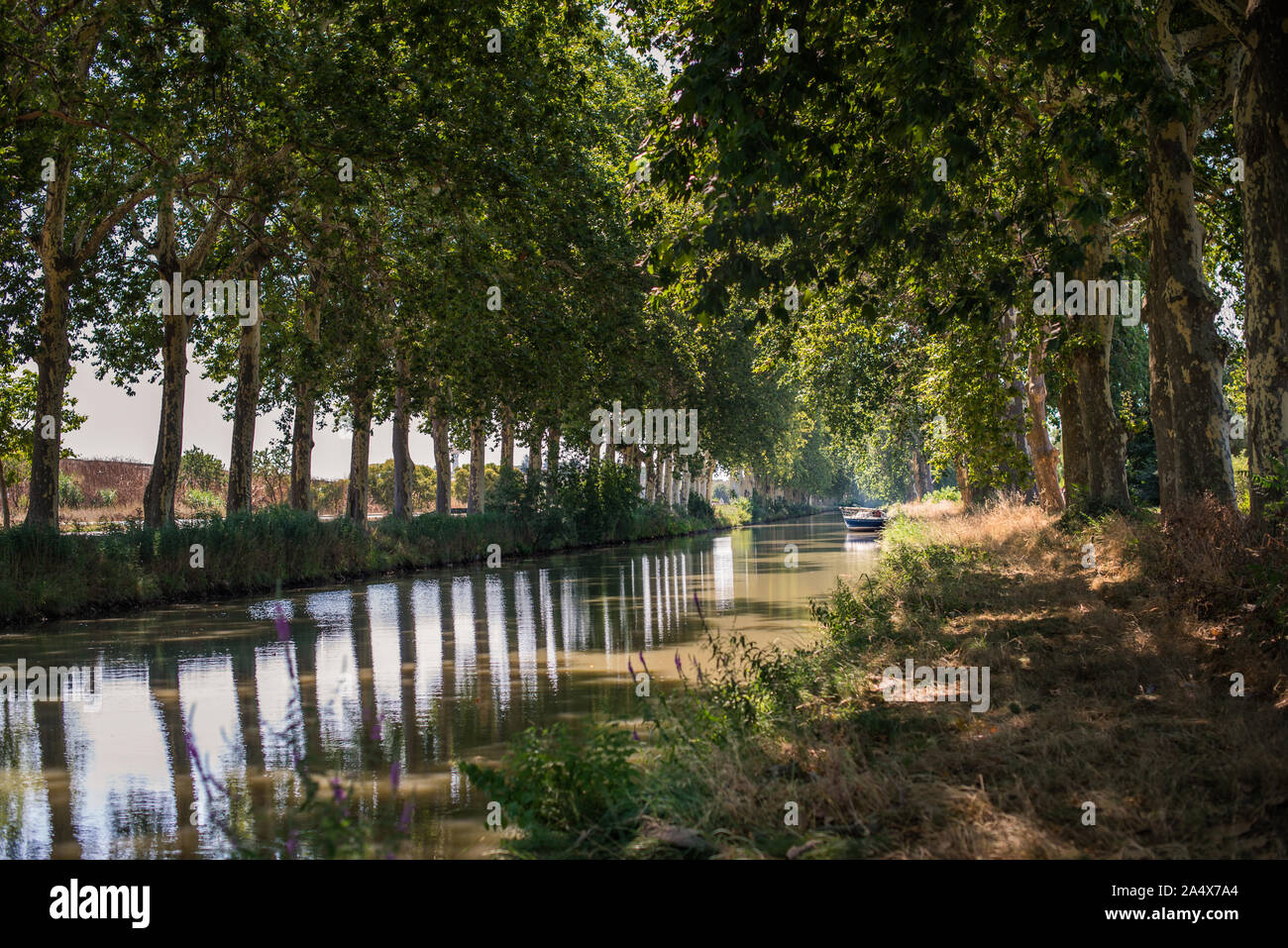 Boat on tree-lined Canal du Midi in south of France Stock Photo