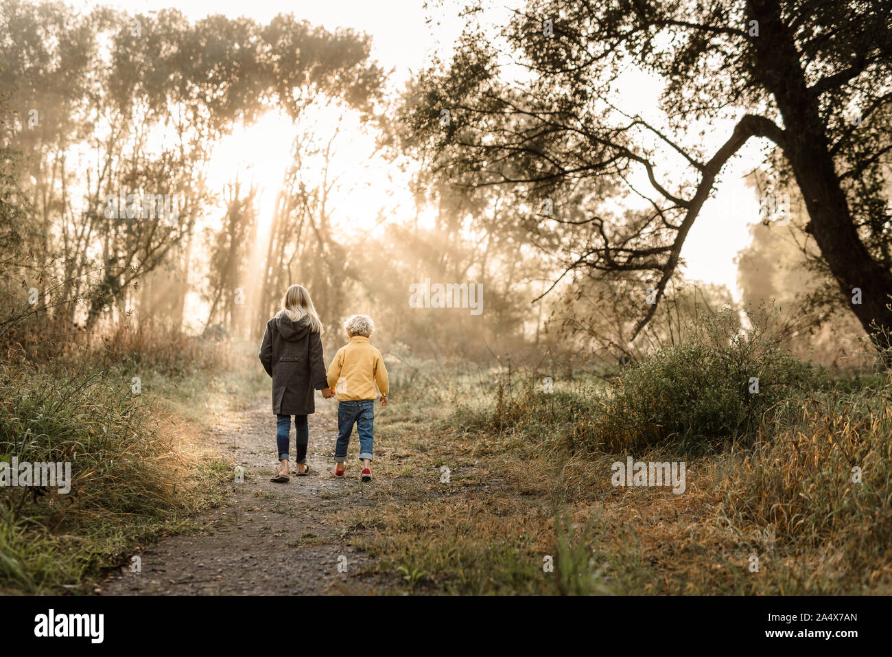 Siblings holding hands on forest path on a foggy morning Stock Photo