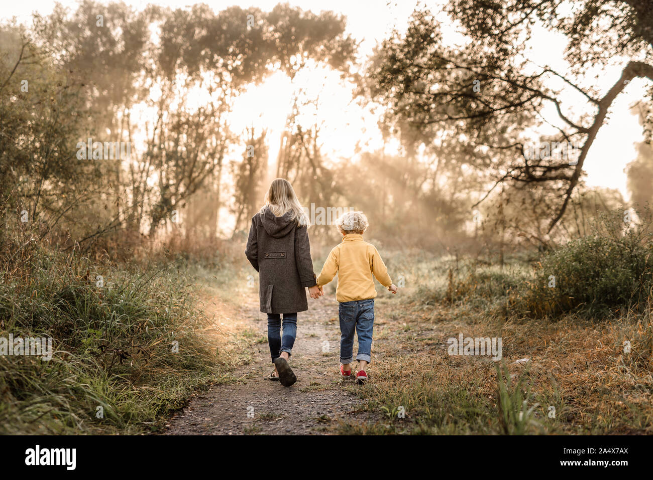Preteen sister and preschool brother walking in forest with fog Stock Photo