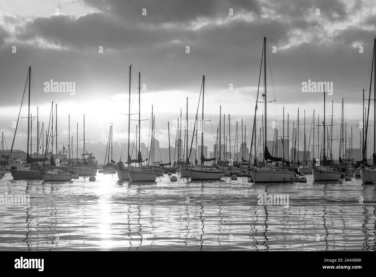 Boats moored at San Diego Harbor. San Diego, CA, USA Stock Photo