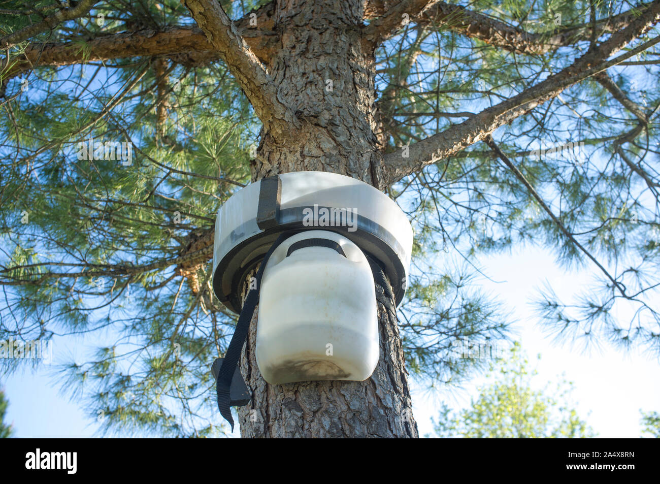 Caterpillar Trap Hi res Stock Photography And Images Alamy