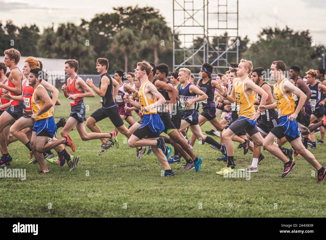 Male runners at start of high school cross country race Stock Photo
