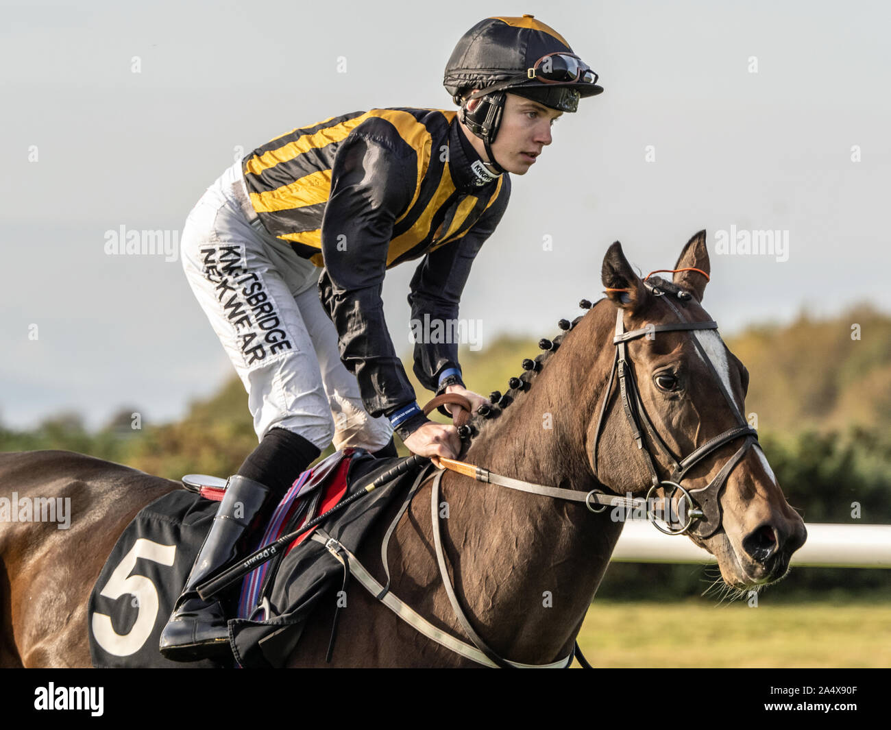 Trained by tim easterby hires stock photography and images Alamy