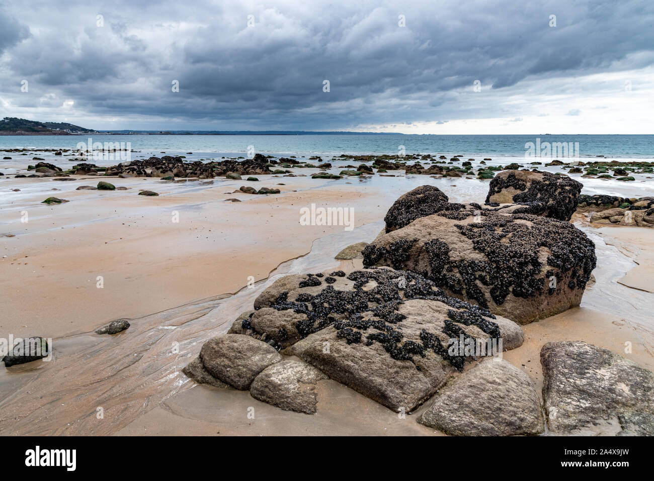 The wet sand and mussel-covered rocks are visible at low tide on a ...