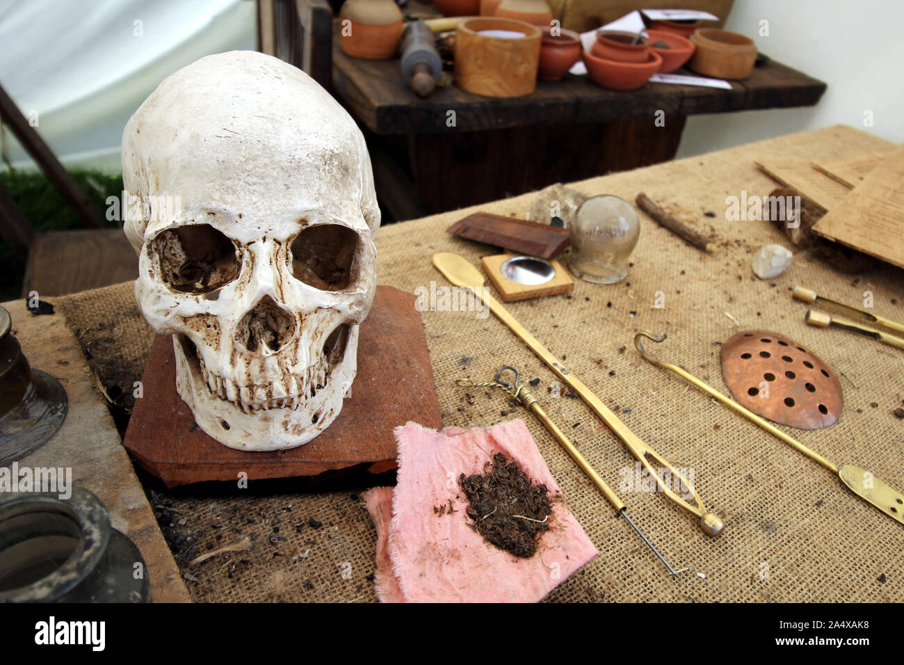 Old medieval apothecary or chemists, with skull and various old medical instruments, herbs and pots Stock Photo