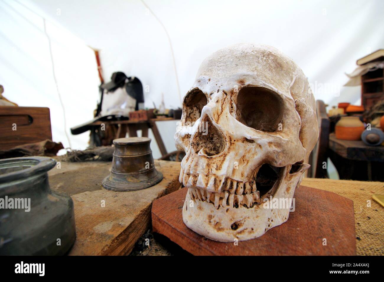 Skull and various old medical instruments, herbs and pots in an old medieval apothecary or chemists Stock Photo