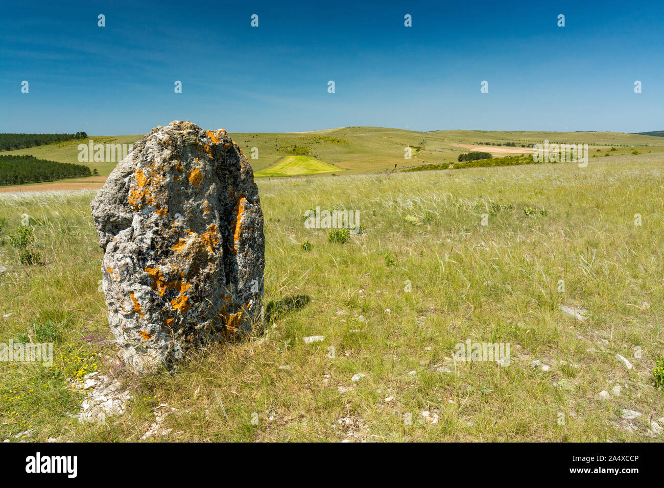 A solitary standing stone on the dry lawn of Causse Mejean Stock Photo