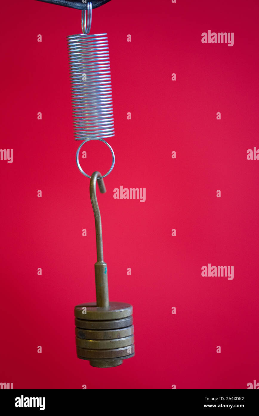 Masses hanging on a stretched spring isolated on a red background. School  science experiment on Hooke's law in a Physics laboratory Stock Photo -  Alamy