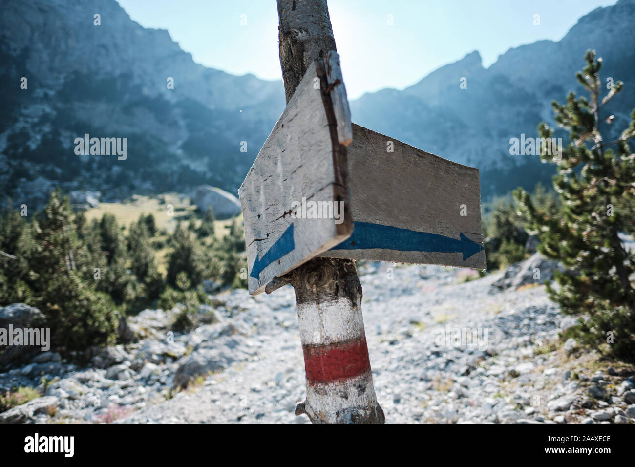 Two signs hanged on a birch tree indicating a crossroads in the mountains with empty space Stock Photo