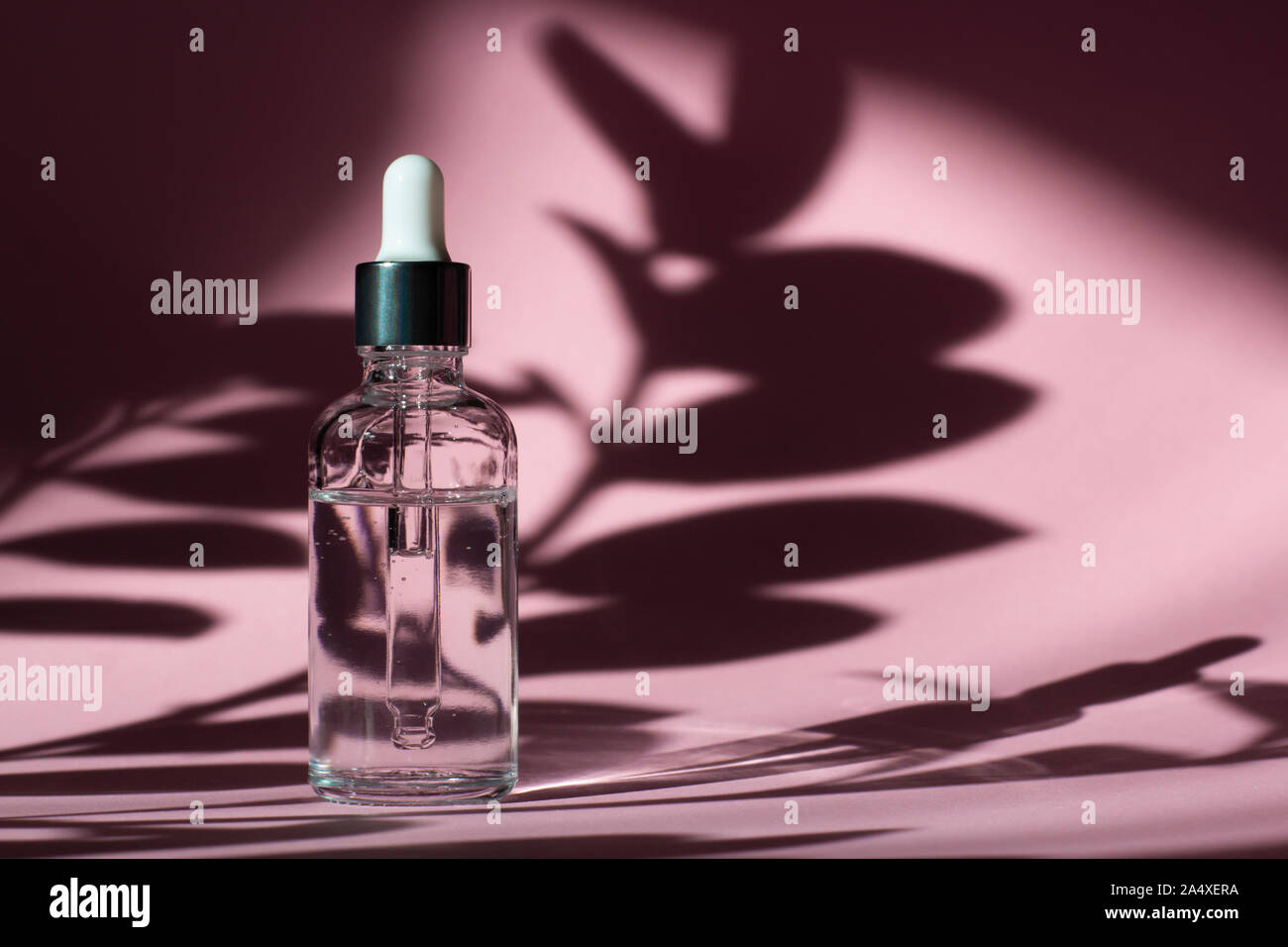 Download Cosmetic Bottle With Pipette Transparent Liquid Product In Glass Bottle With Dropper Serum Skin Care On Pastel Pink Background And Plant Shadows Front View With Copy Space Beauty Product Mockup Stock Photo
