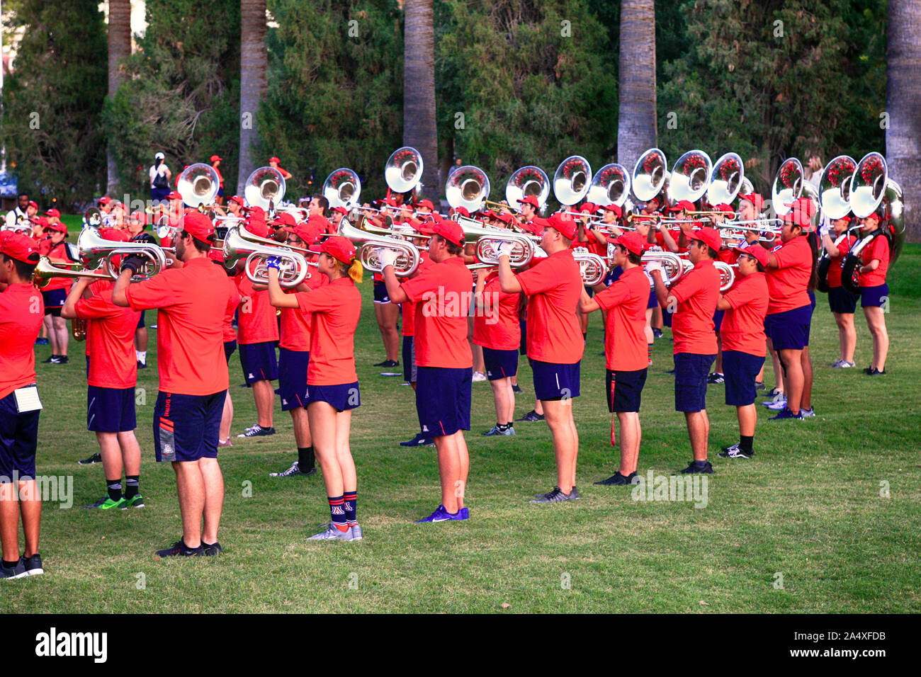 The Pride of Arizona UA Marching Band on campus at dusk in Tucson AZ