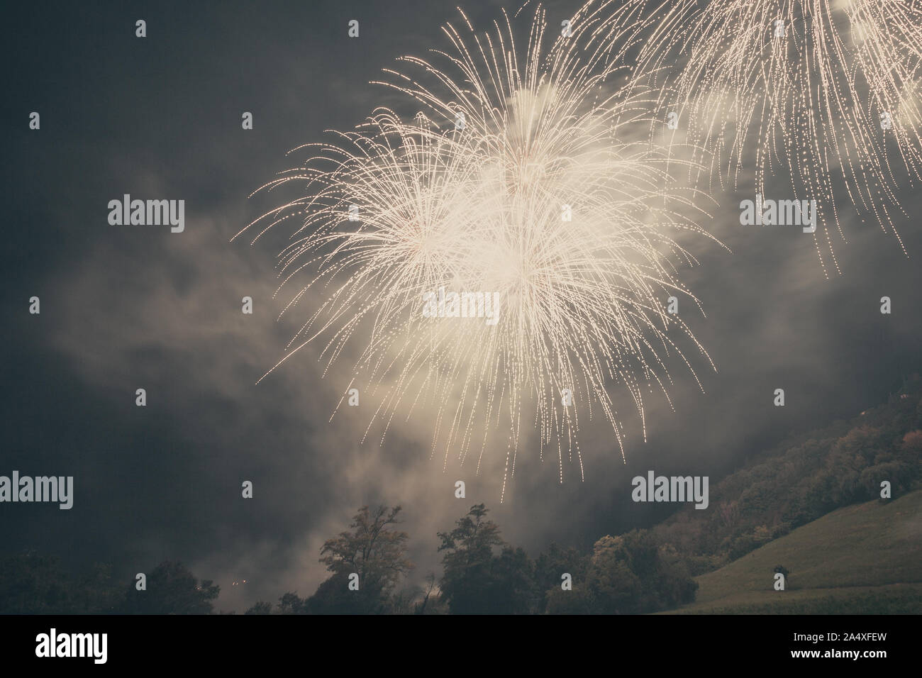 White fireworks against the backdrop of the night sky Stock Photo
