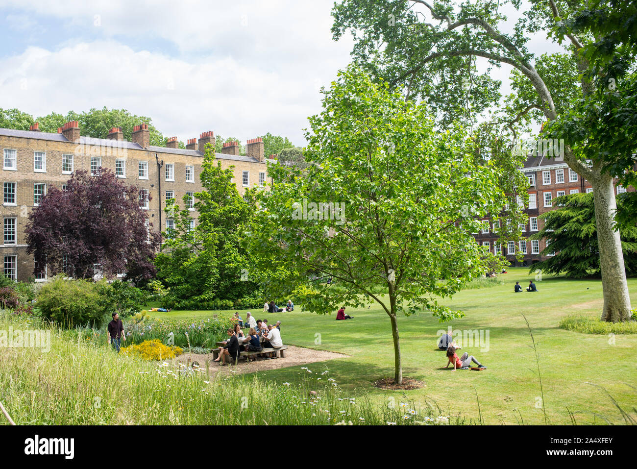 Gray's Inn Walks Gardens. People enjoying Gray's Inn Fields park in summer. Holborn, Central London, UK Stock Photo