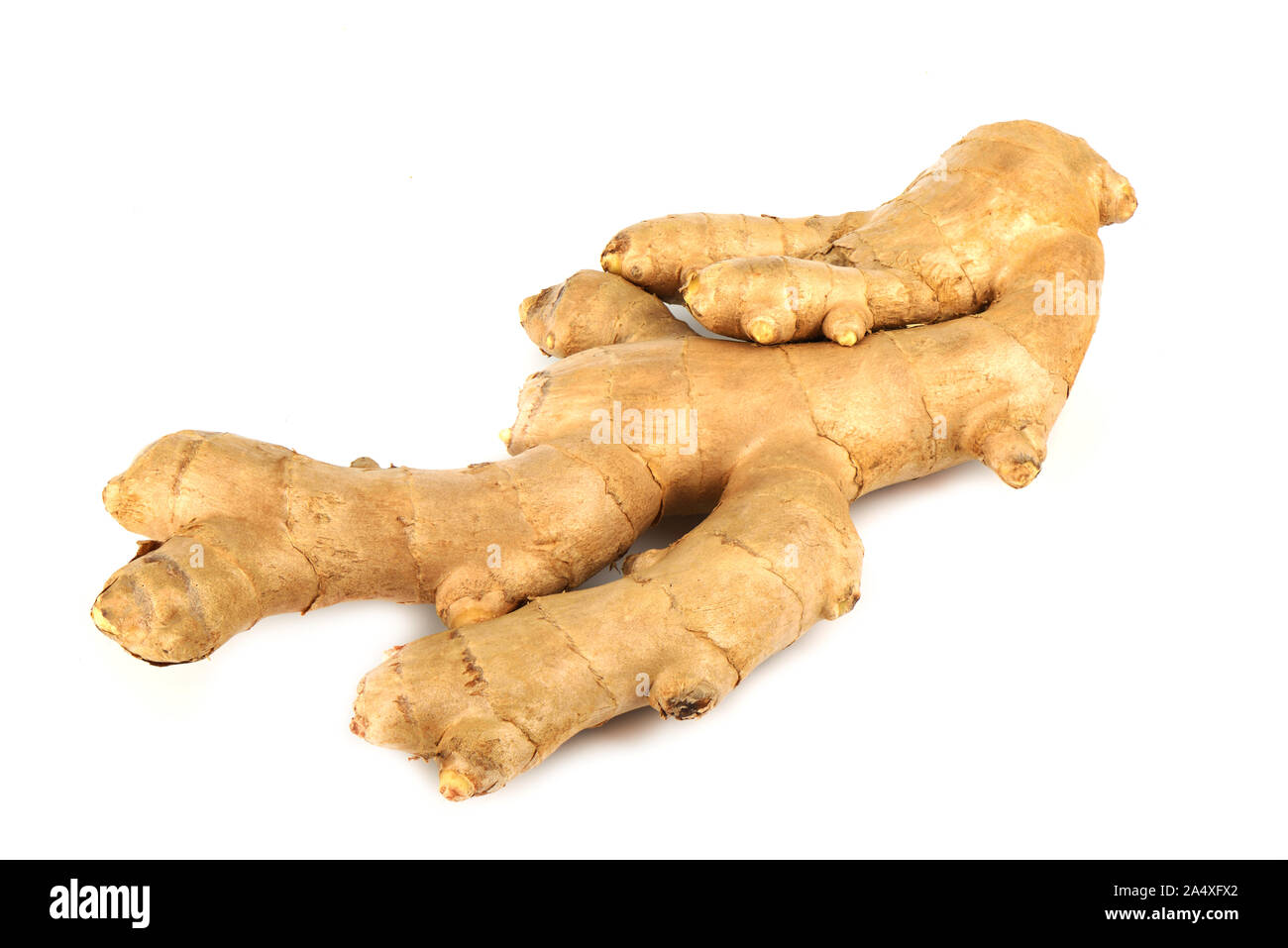 Fresh ginger root over a white background.  Close up. Copy space. Stock Photo
