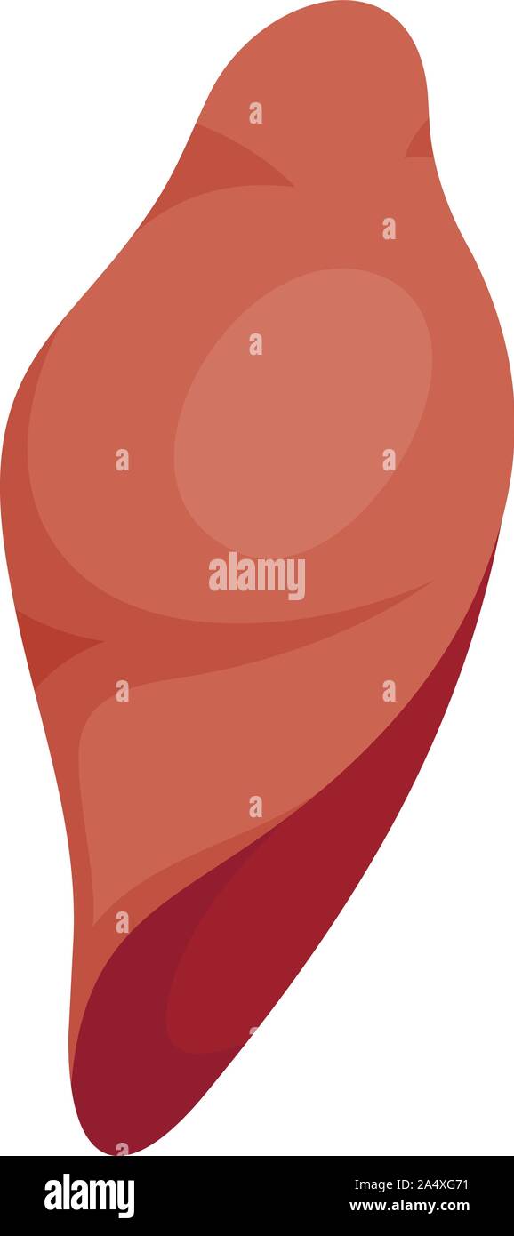 Hepatic artery liver hi-res stock photography and images - Alamy