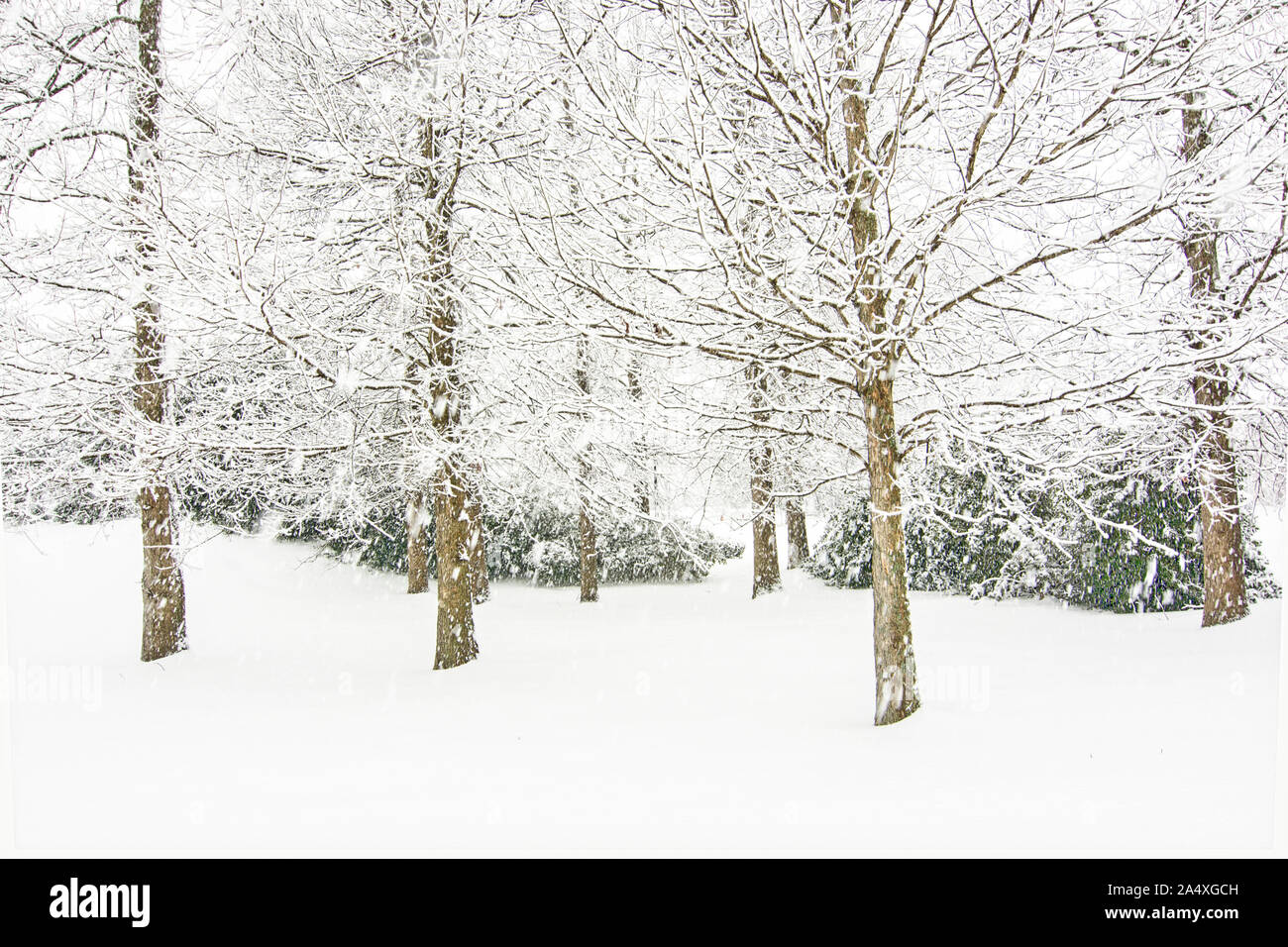 CONCORD, NC, 13 February 2014 Rare snow and ice storm paralyzes North