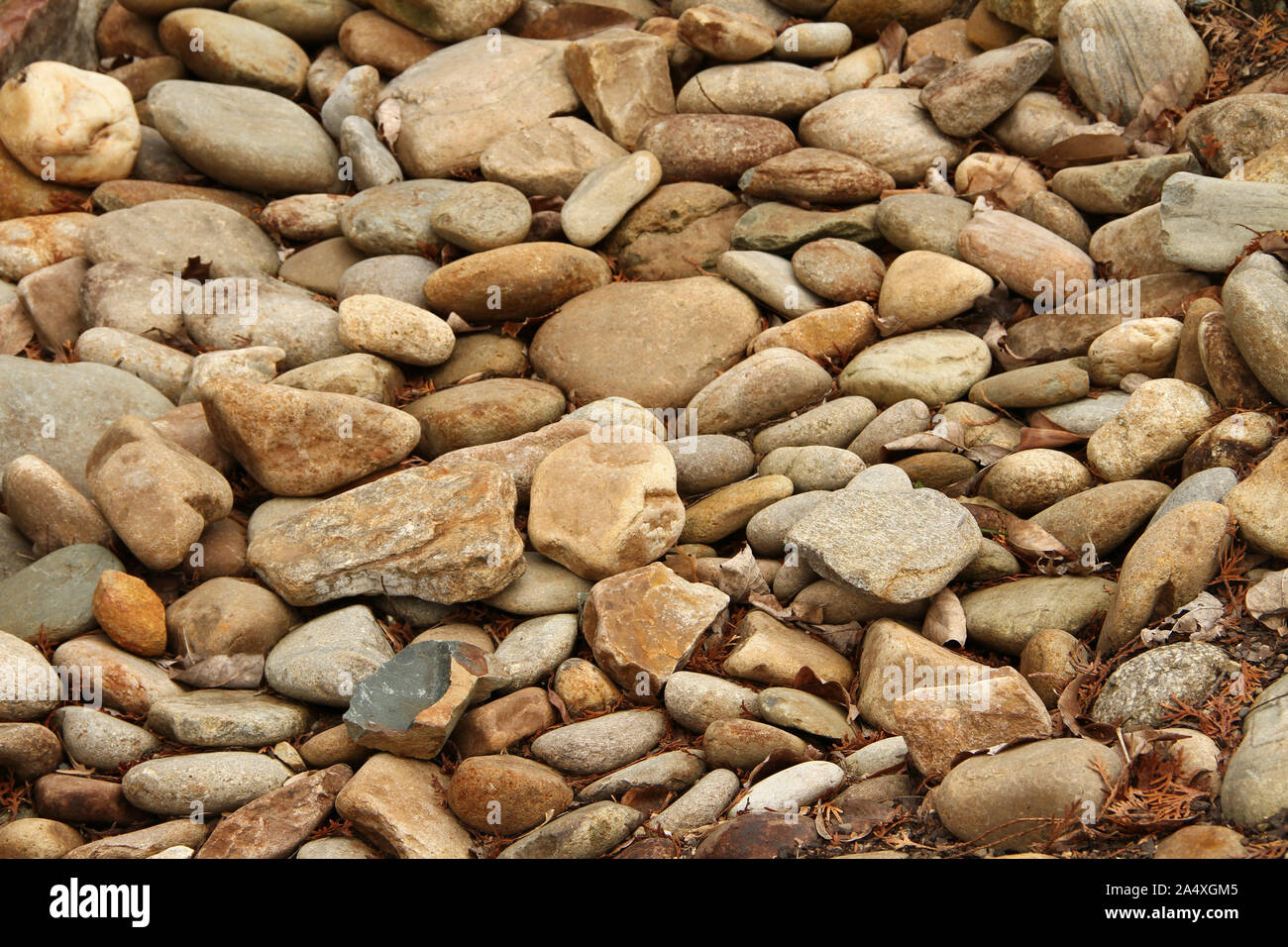 These beautiful river stones (river rock) are seen here in their