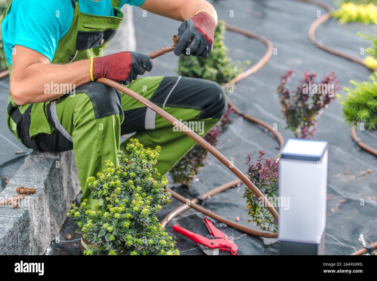 Professional Caucasian Gardener in His 30s Building Irrigation System in Newly Developed Garden
