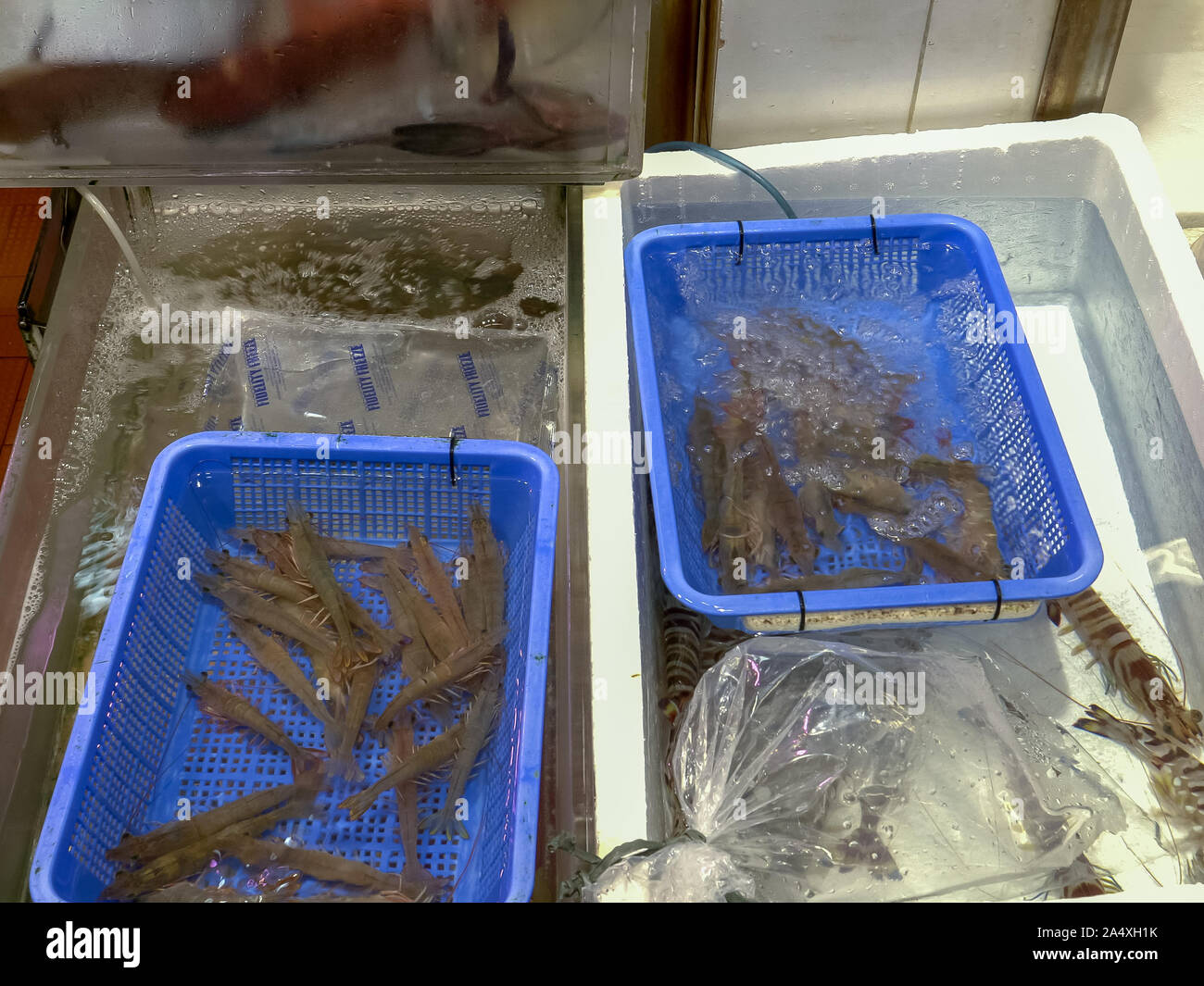 live prawns for sale at fa yuen market in hong kong Stock Photo