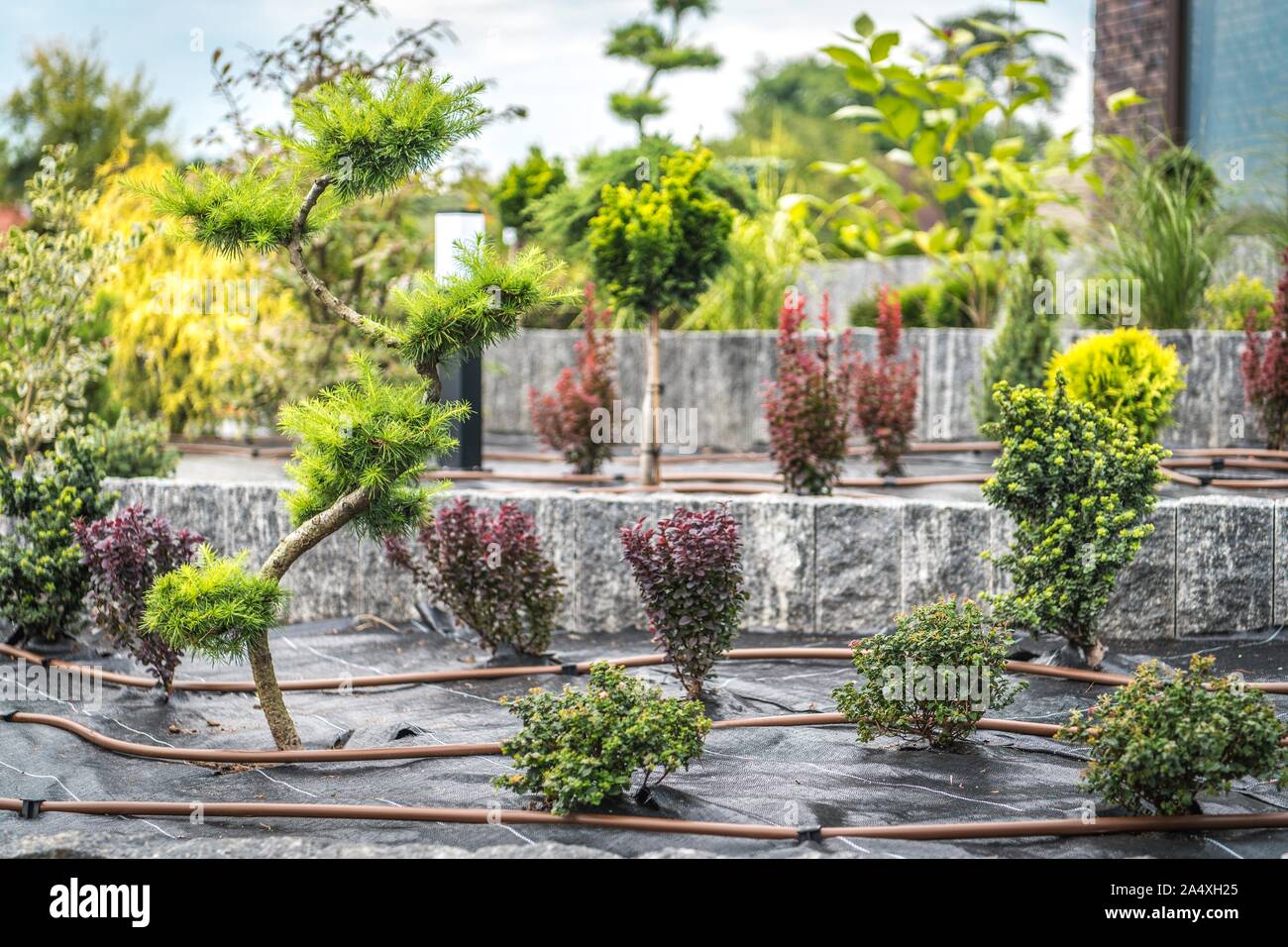 Backyard Garden Automatic Watering System. Irrigation Technology. Newly ... Circuit Diagram