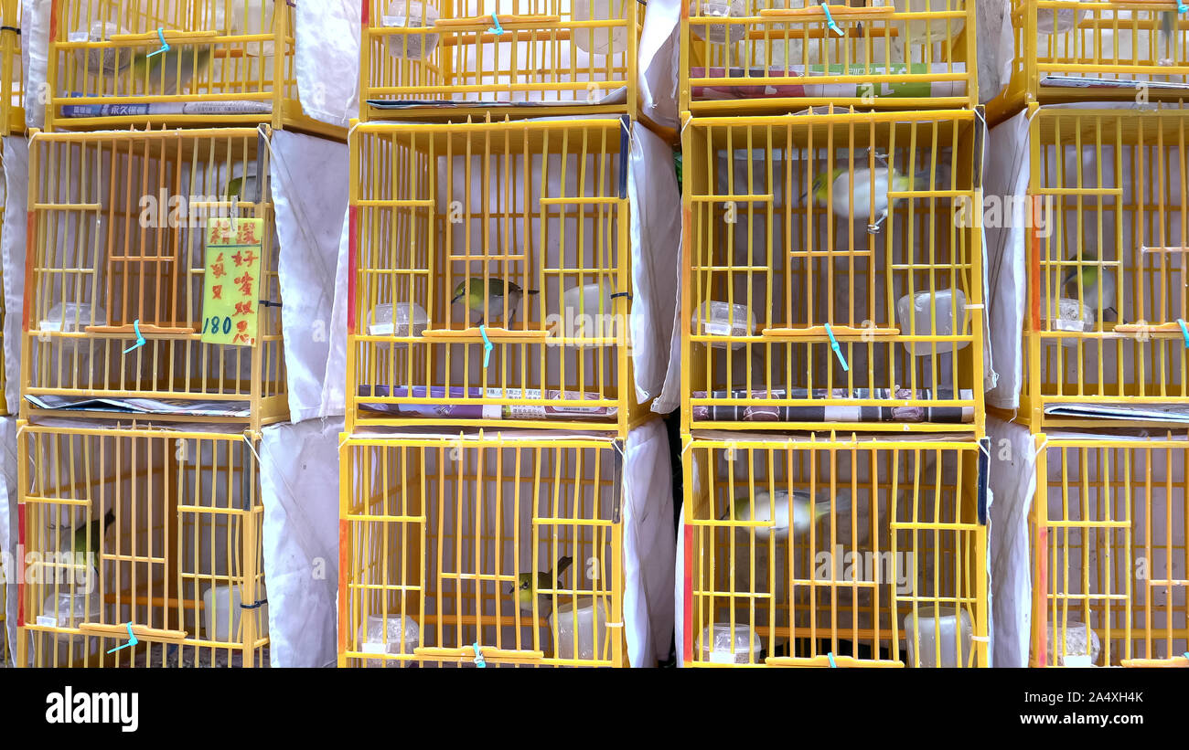 square bird cages at mongkok bird market in hong kong Stock Photo Alamy