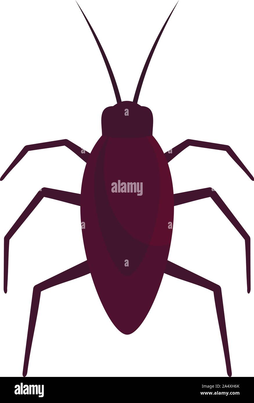 Dead insect macro Stock Vector Images - Alamy