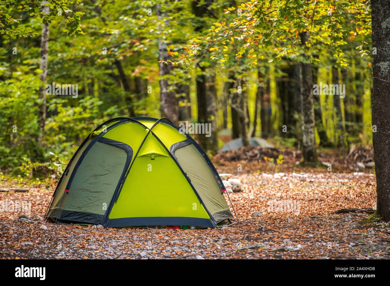 Scenic Forest Campsite and the Modern Green Igloo Style Tent. Recreational and Travel Theme. Stock Photo