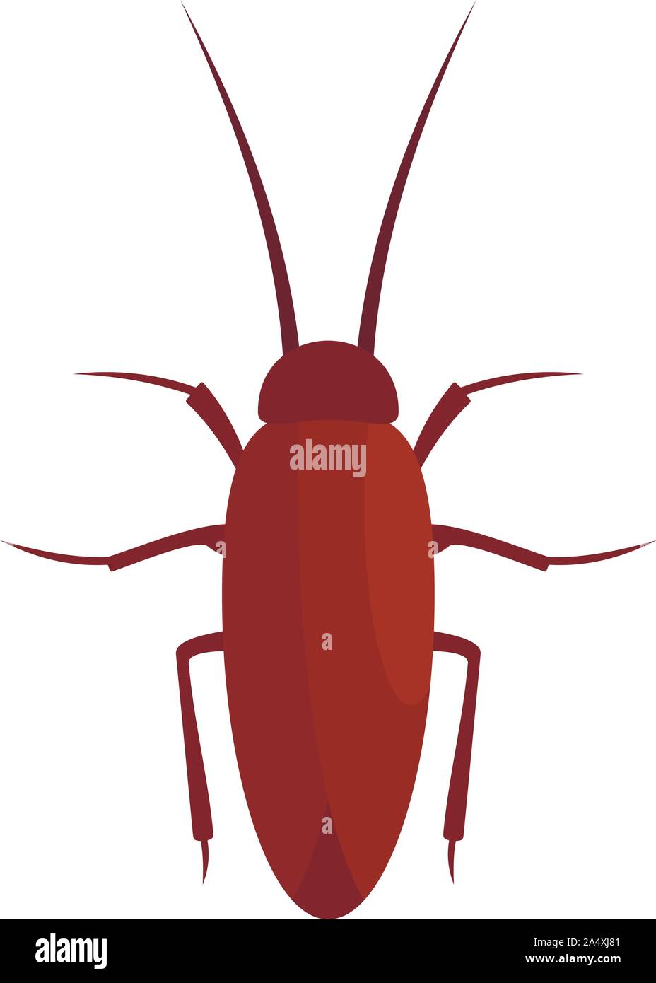Nocturnal beetle Stock Vector Images - Alamy