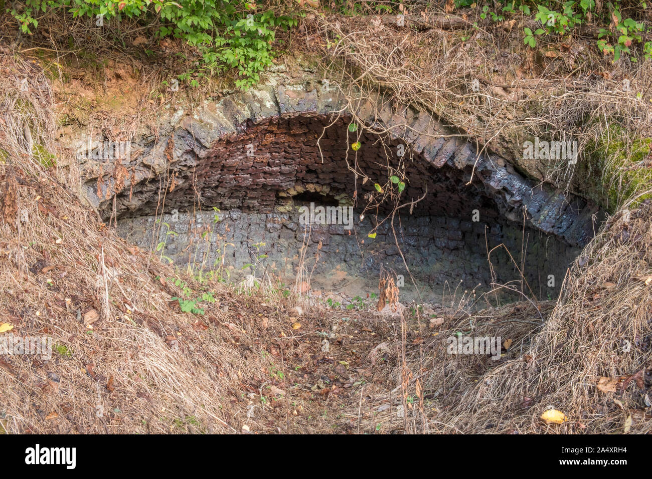 One of the many coke ovens used in the late 1800's to burn coal to make bricks. Grundy Lakes