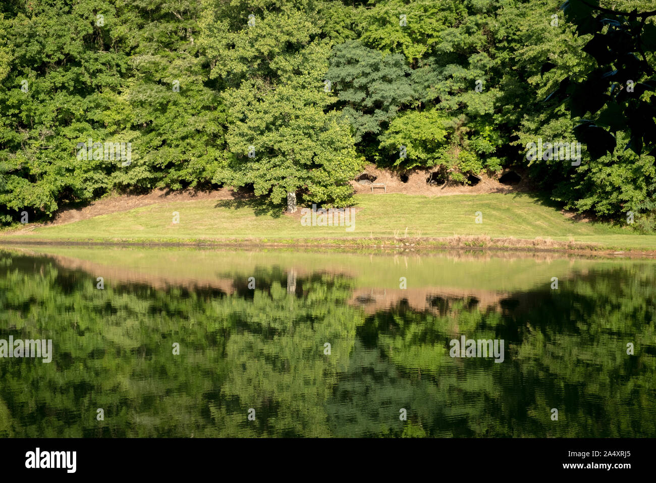 A view of the coke ovens by the lake used in the late 1800's to burn