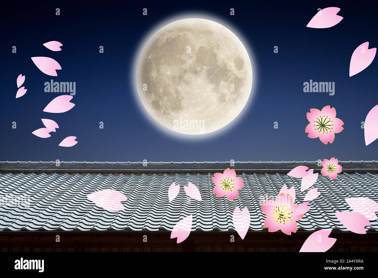 The full moon and cherry blossom Stock Photo - Alamy