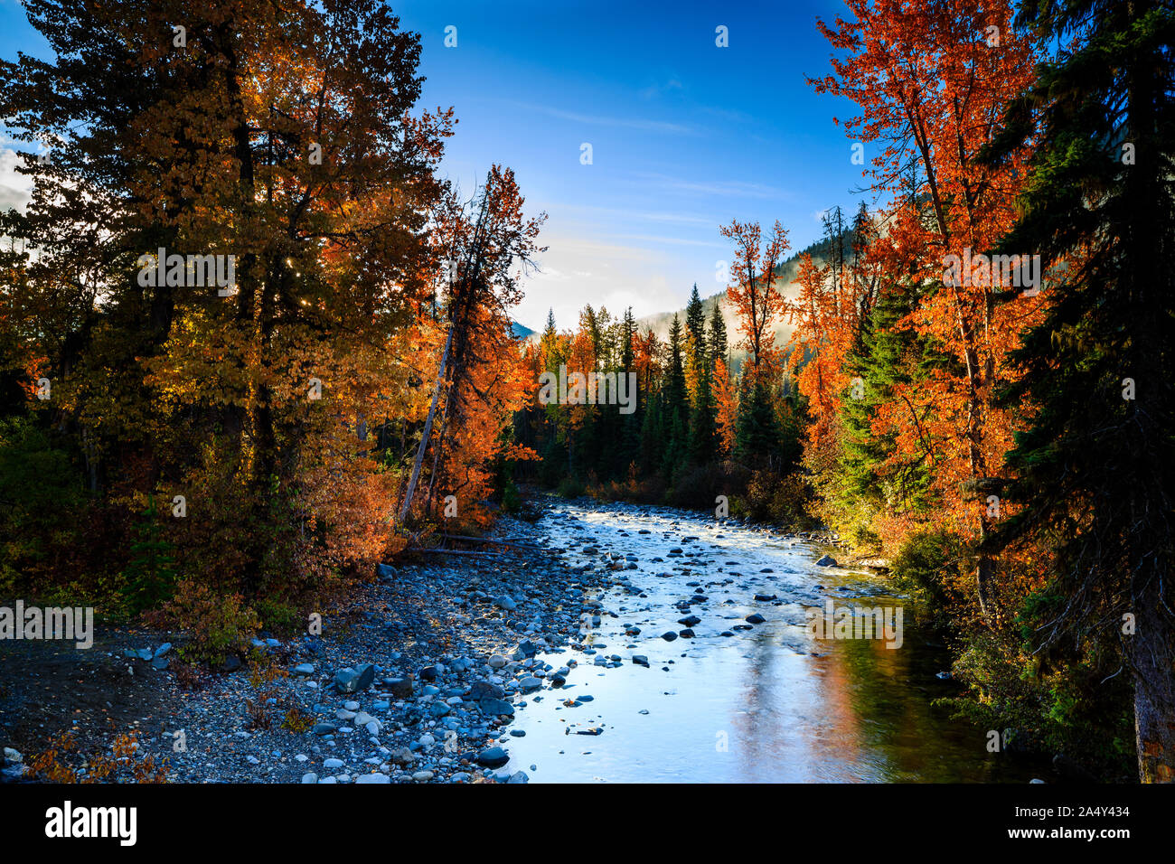 Stunning autumn colors along creek in early morning Stock Photo