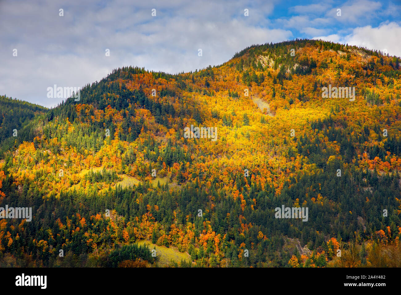 Sunlight lights up mountain covered in fall colors Stock Photo - Alamy