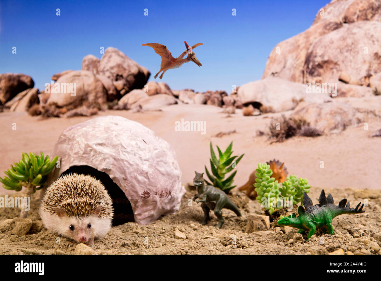 Humphrey J Hedgehog is an early cave hog in prehistoric dinosaur scene in hedgehog adventure photo series Stock Photo