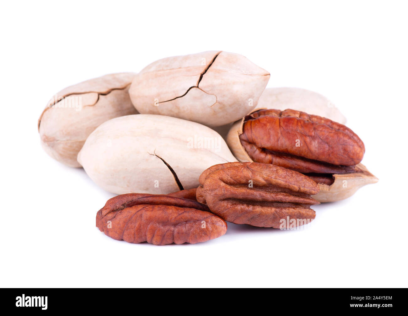Pecan nuts, isolated on white background. Shelled and unshelled pecan
