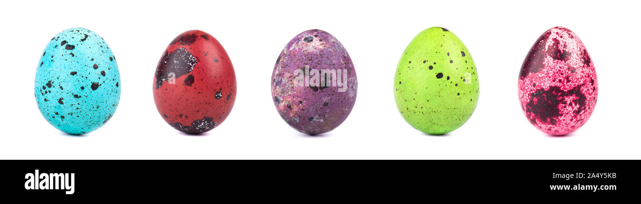 Set of same size colored quail easter eggs isolated on white background. Easter concept Stock Photo