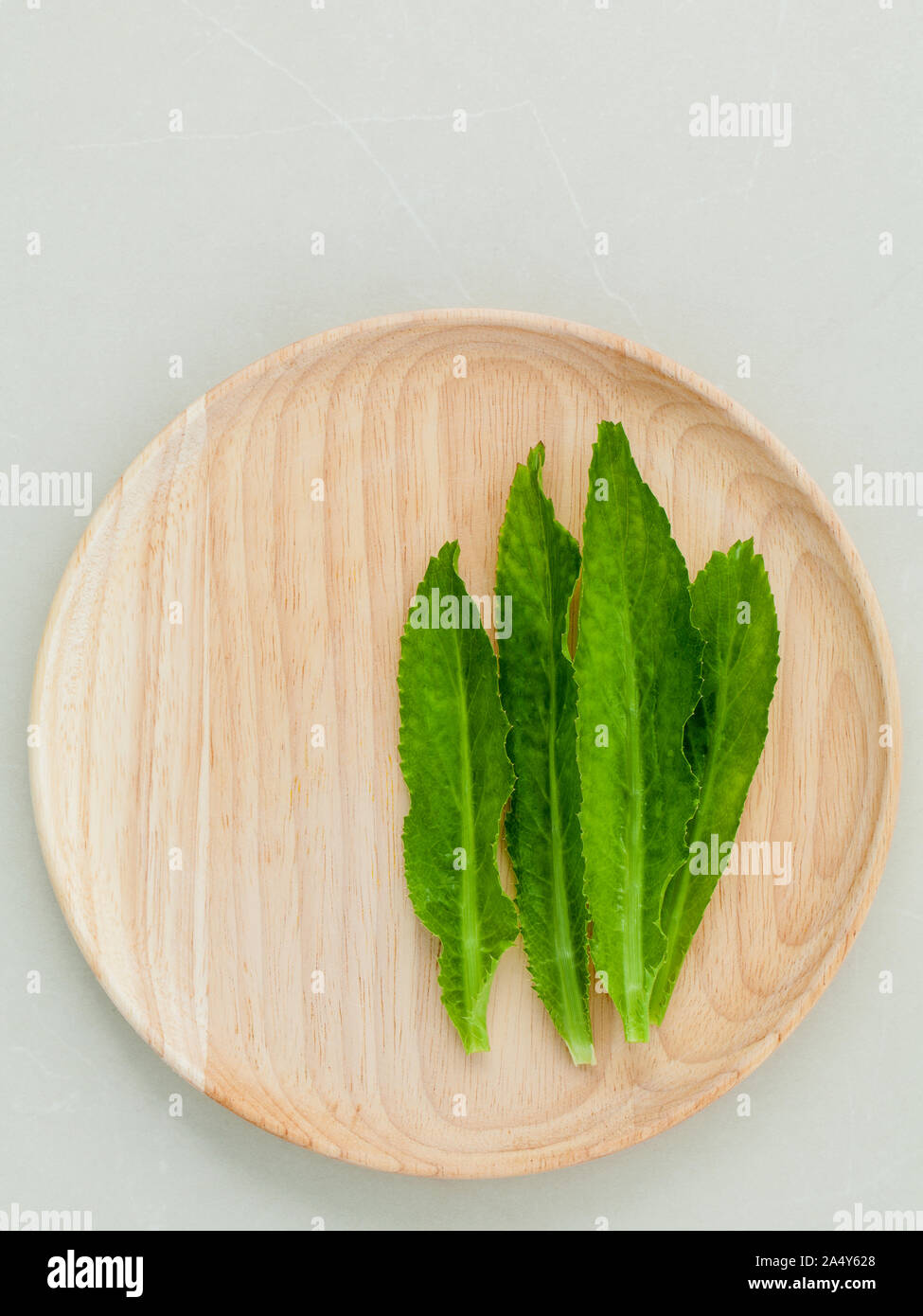 Culantro, Long coriander, Sawtooth coriander the herbs for seasoning of