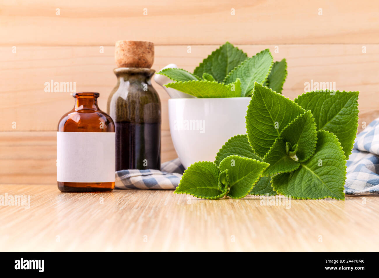 Country Borage,Indian Borage,Coleus amboinicus Lour with white mortar and essential extract oil on wooden background. Stock Photo