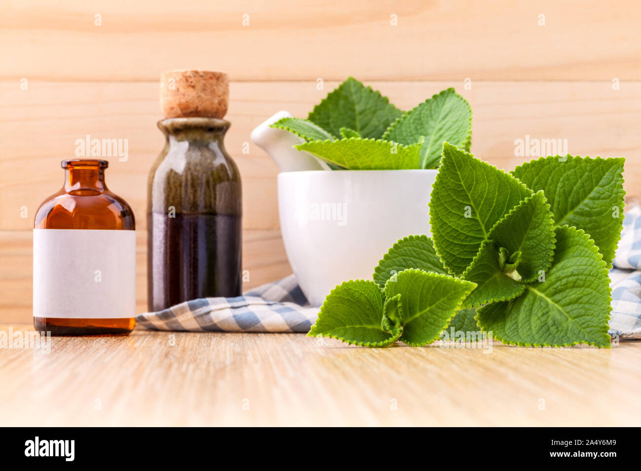 Country Borage,Indian Borage,Coleus amboinicus Lour with white mortar and essential extract oil on wooden background. Stock Photo