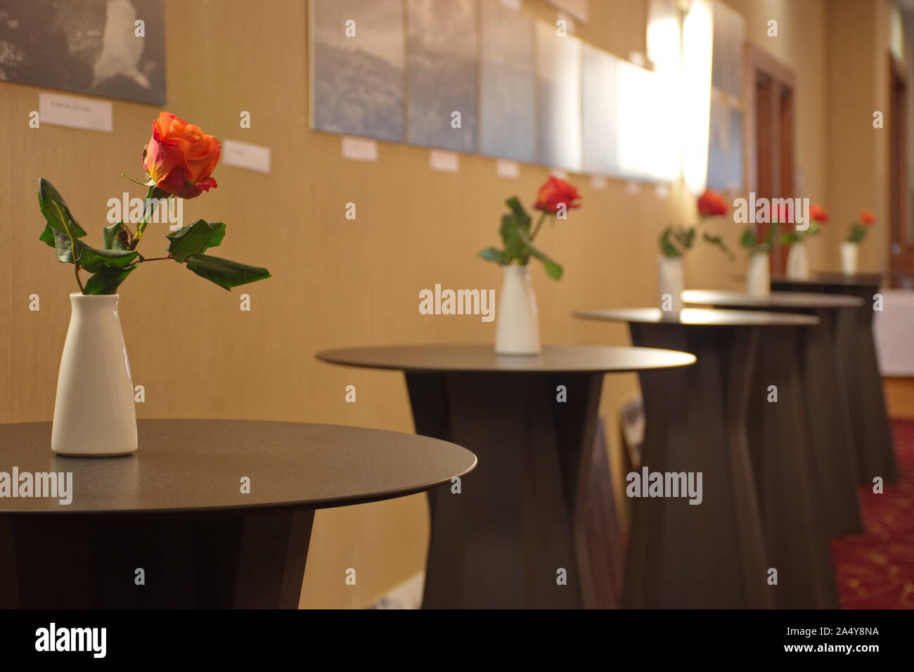 Red roses in white vase on the table Stock Photo