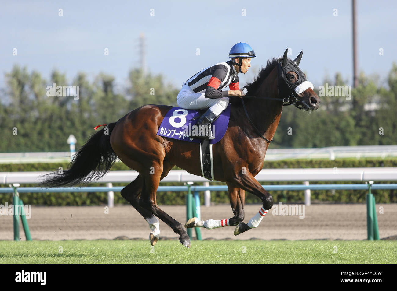 Akihide High Resolution Stock Photography And Images Alamy Akihide High Resolution Stock Photography And Images Alamy