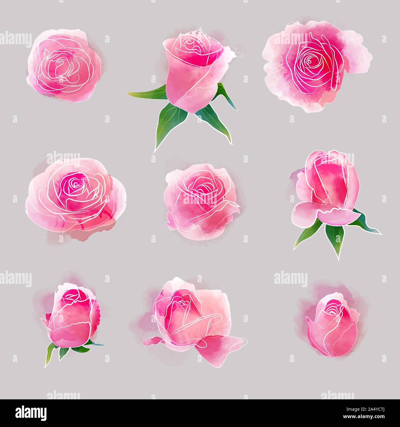 Beautiful watercolor pink roses  vector set Stock Vector