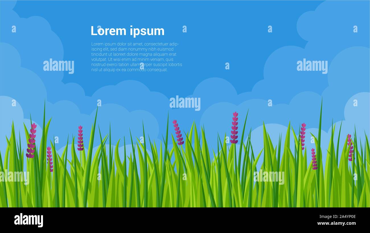 Spring flowers with blue sky background Stock Vector Images - Alamy