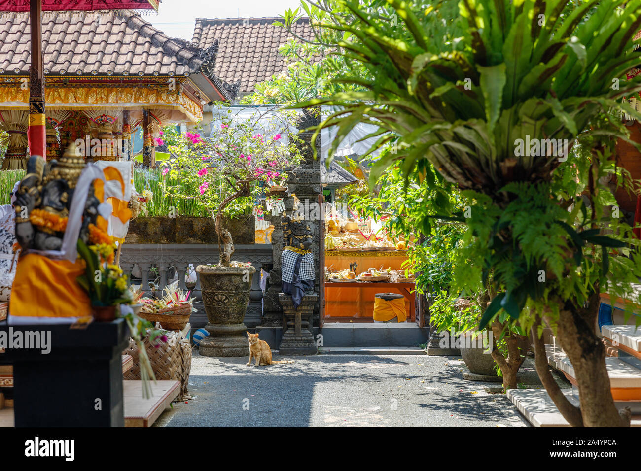 Sanggah High Resolution Stock Photography And Images Alamy