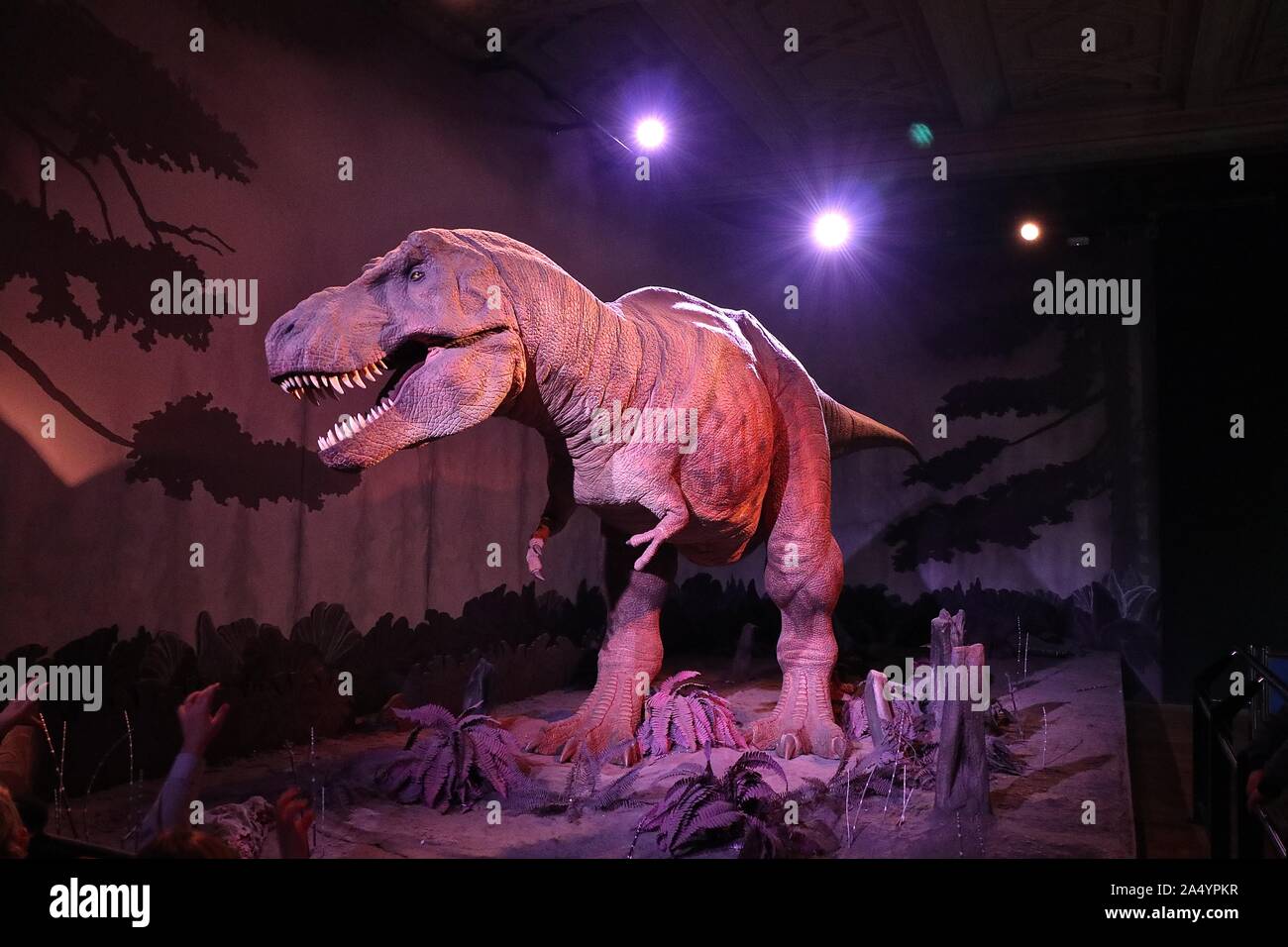 The Natural History Museum in London is a natural history Museum that exhibits a vast range of